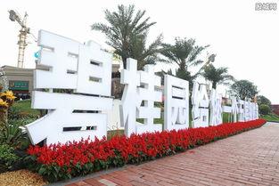 碧桂园最新爆料消息,揭秘企业转型与未来发展规划”  第2张